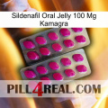 Sildenafil Oral Jelly 100Mg Kamagra 10